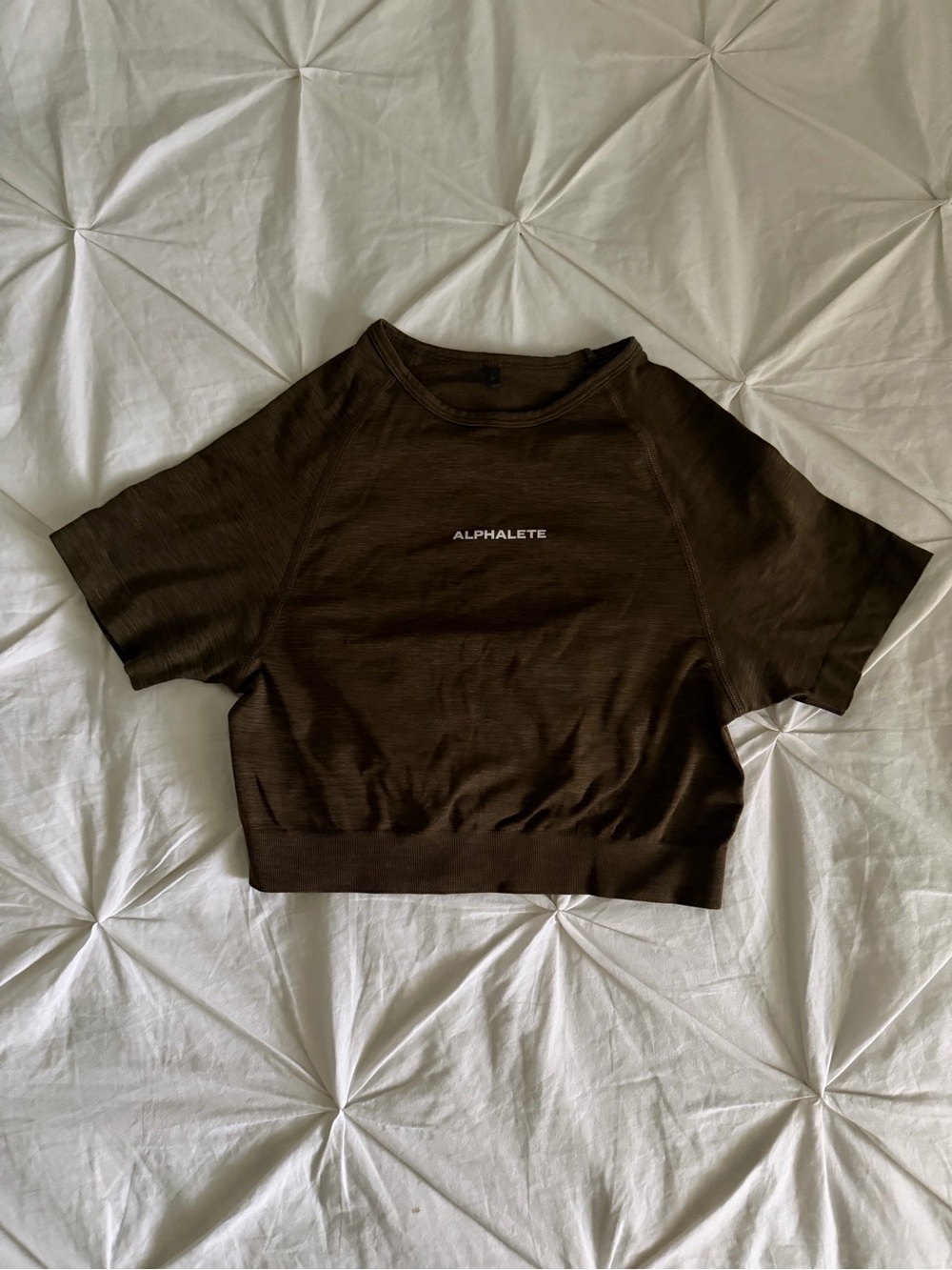 Alphalete Short Sleeve Cropped Tee in Dark Brown